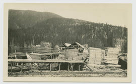 Timber air-drying at Parkhurst