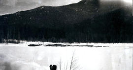 Frozen Alpha Lake with logs sitting on the shoreline