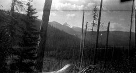 Black Tusk seen through the trees near 34 1/2 Mile