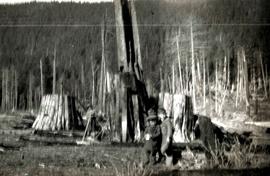 Children in front of tree stumps, clearing land at the Jardine-Neiland property