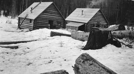 Neiland cabins on Alpha Lake