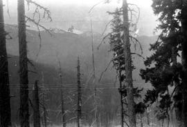 Black Tusk as seen through trees on [Sproatt Mountain?]