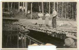 Fishing from the log bridge