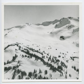 Aerial View of Whistler Bowls and Roundhouse